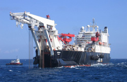 Ms. Solitaire Ms. Solitaire