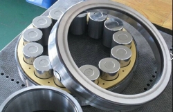 Double Row Cylindrical Roller Bearing Double Row Cylindrical Roller Bearing