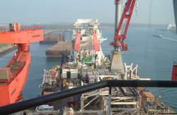 Ms. Solitaire Ms. Solitaire