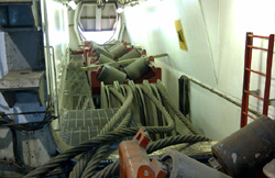 Ms. Solitaire Ms. Solitaire