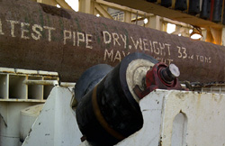 Ms. Solitaire Ms. Solitaire