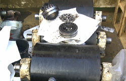 Ms. Solitaire Ms. Solitaire