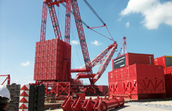 Ms. Solitaire Ms. Solitaire